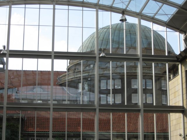 photo.jpg