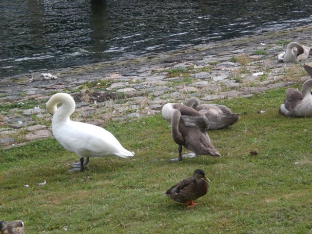photo136.jpg