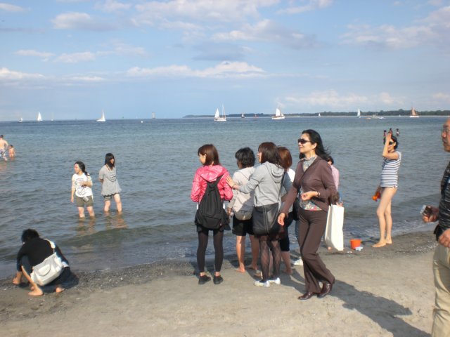 photo140.jpg